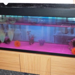 next stage on new tank