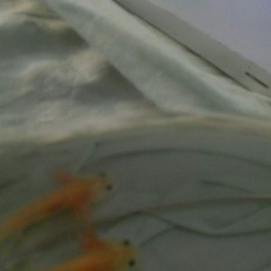 DSCN0900