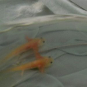 DSCN0901