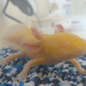 First photo!
this is Mink :)