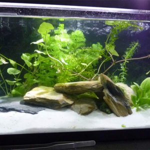 new setup