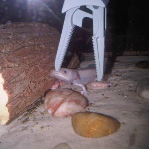 IMG00485 20110525 1905