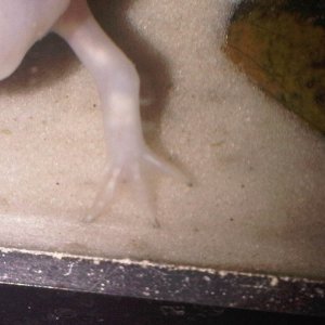 IMG00494 20110525 1908