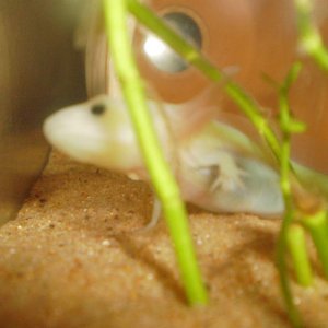 he loves these plants