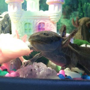 Lotl and Goth. Posing. Again!