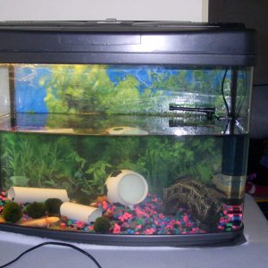 This was tank #2