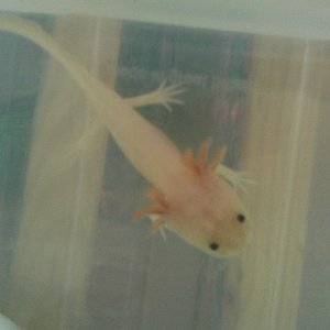 When I was little :)