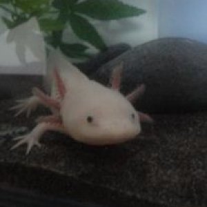 ^_^