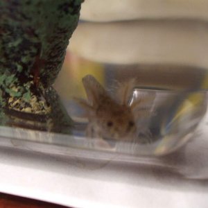 Lookit that little face!
