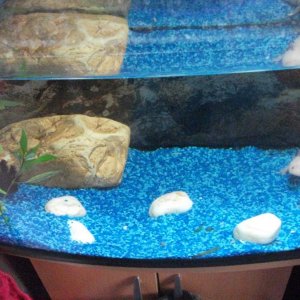 the tank with a bit of pinky pokin' out!