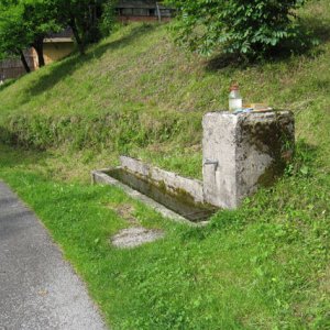 Old limestone trough for livestock, where newt eggs were found, north-central Croatia.