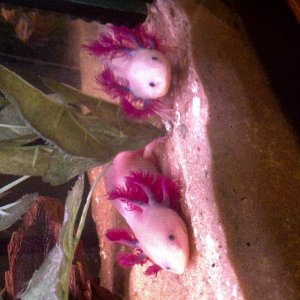 IMG 20110226 00143