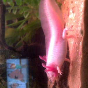 IMG 20110514 00021