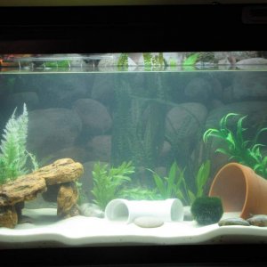 WIP tank, still working on getting it just right