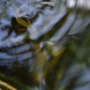 Lboscaiwater1