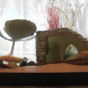 Axies 013
