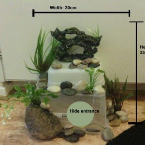 tankdec