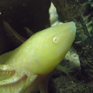 DSCF2421