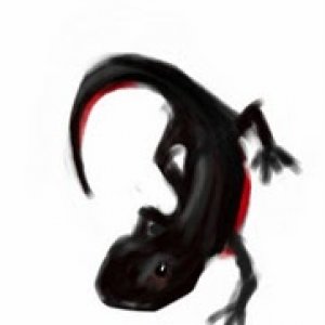 I drew it on my phone... sorta like finger painting :)