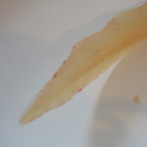 P1011212