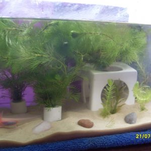 new temp. setup