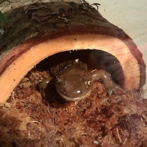 Phillip in his house