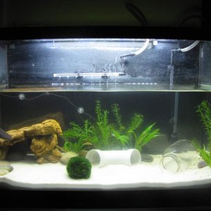 Updated tank