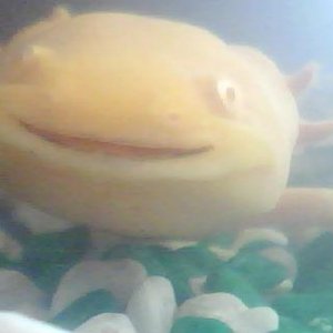 I love the smile ^.^