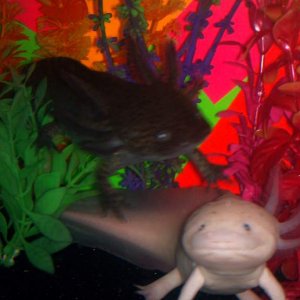 Beulah and Kirby