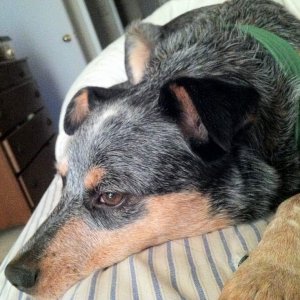 Wake up mommy...you lazy...