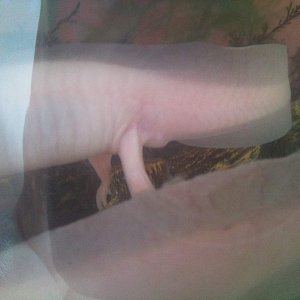 Photo0956