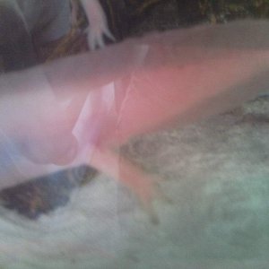 Photo0957