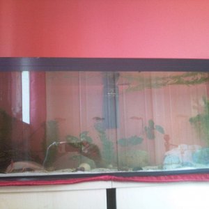Photo0952