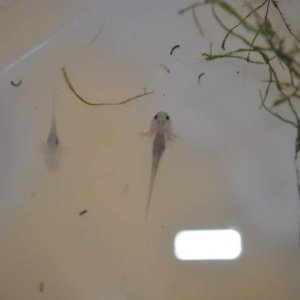 DSC 0360