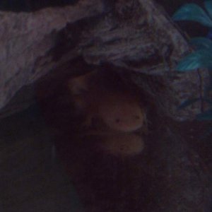 IMAG0786