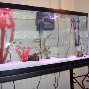 55g