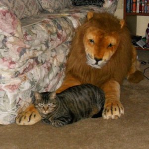 Chloe and her lion
