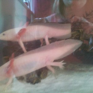 Photo0954