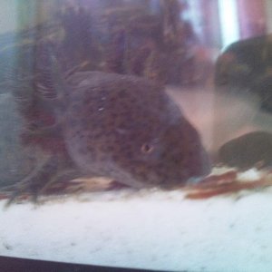 Photo0953