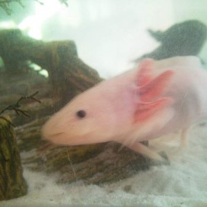 Photo0962
