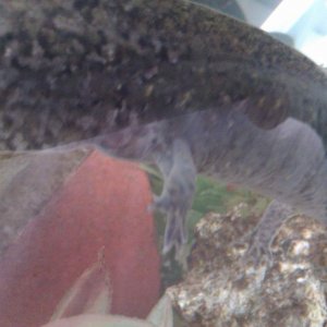 IMAG0105