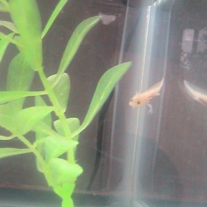 Bubbles <3