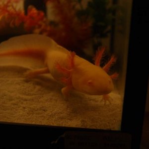 DSC03736
