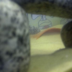 IMG 20111002 00060