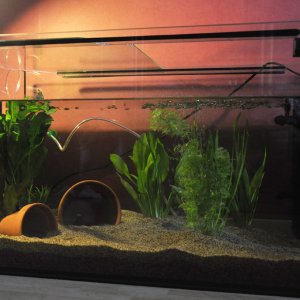 Updated. Added some hides.