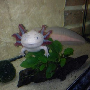 naughty face :)