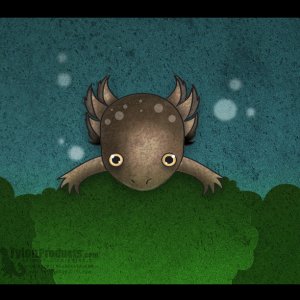 illustrationbush