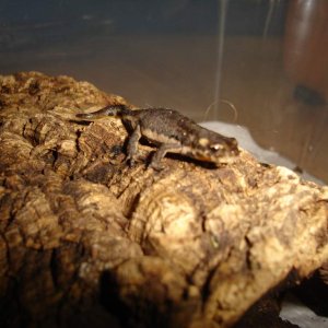 DSC00116