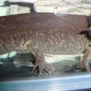 I was told a girl but now im not so sure....