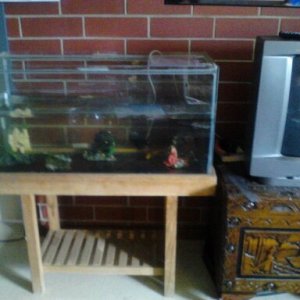 This is Axles abode, 3 ft long